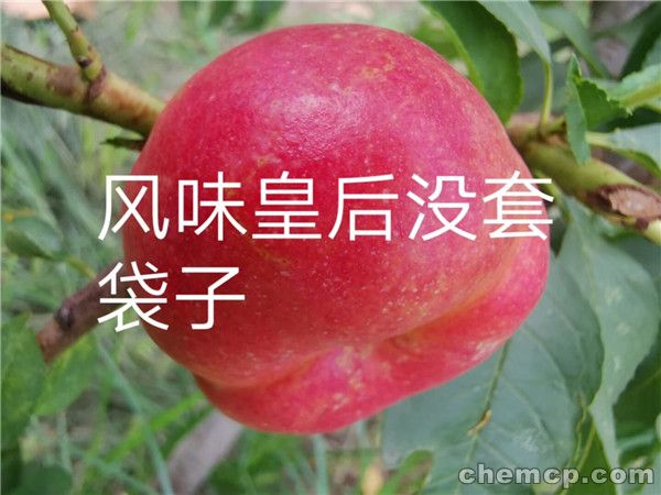 博亚体育官方app下载